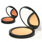 Pressed Mineral Blush & Foundation
