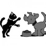 Product for both Dog & Cat